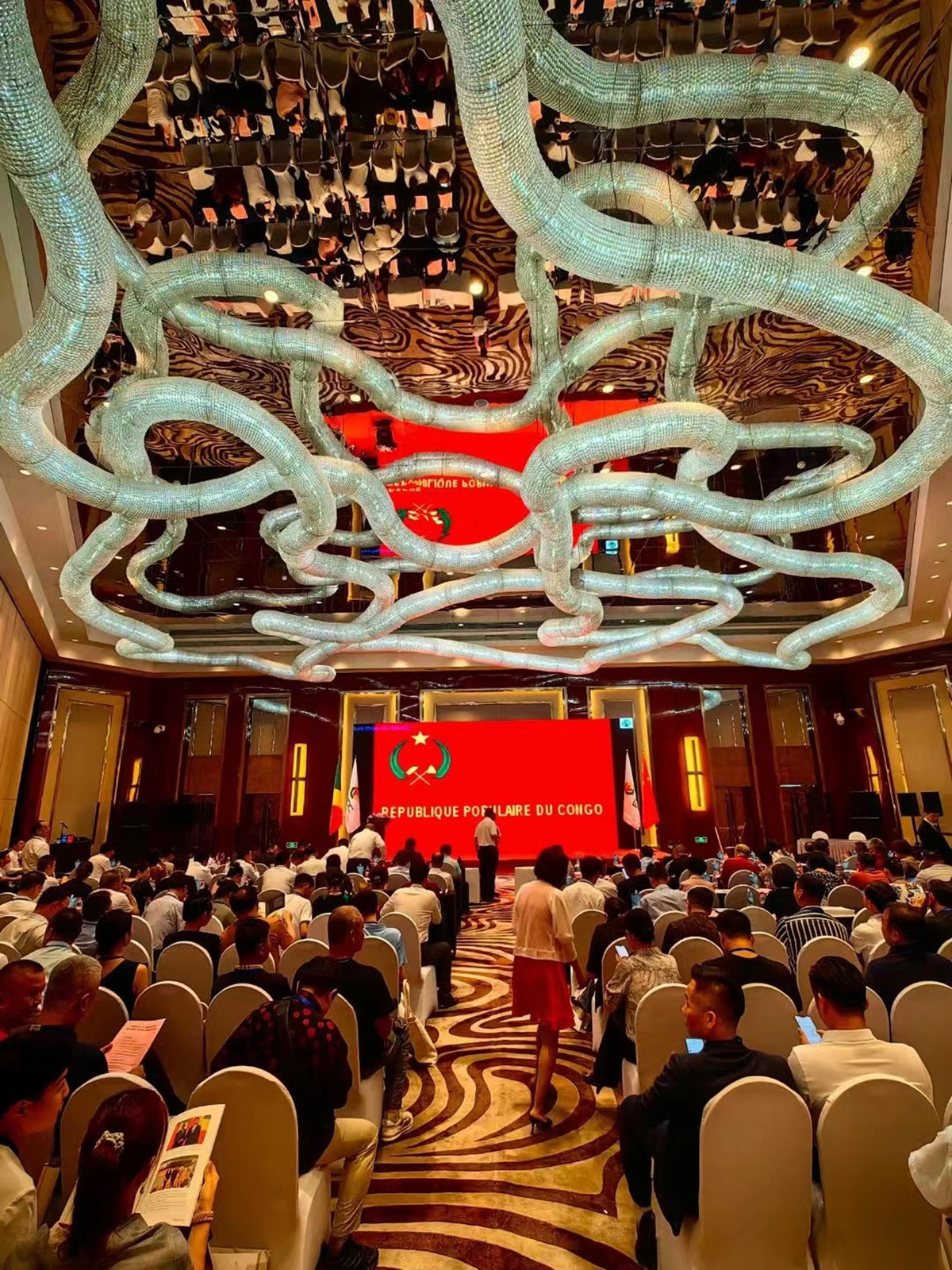 宏麗板業(yè)創(chuàng)始人張宏亮受邀出席一帶一路剛果經(jīng)濟發(fā)展對接會。